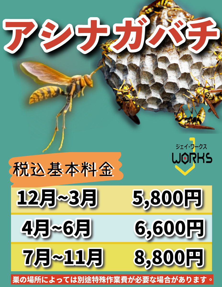 東近江市アシナガバチ料金画像