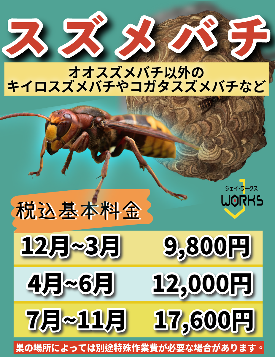 東近江市スズメバチ料金画像