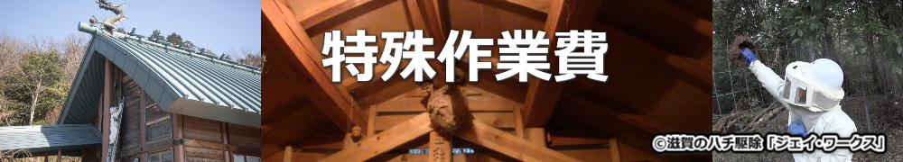 東近江市平田地区のハチ駆除特殊作業費