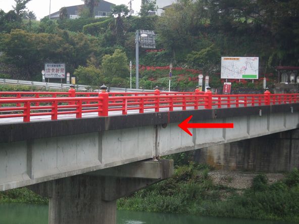 永源寺前「旦度橋」のキイロスズメバチの巣